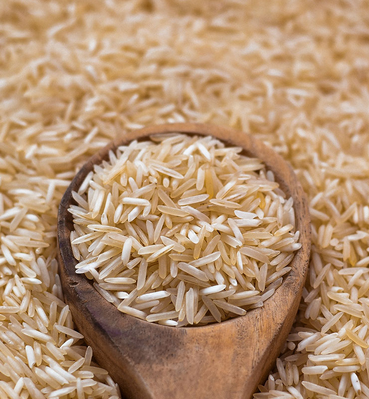 basmati-rice