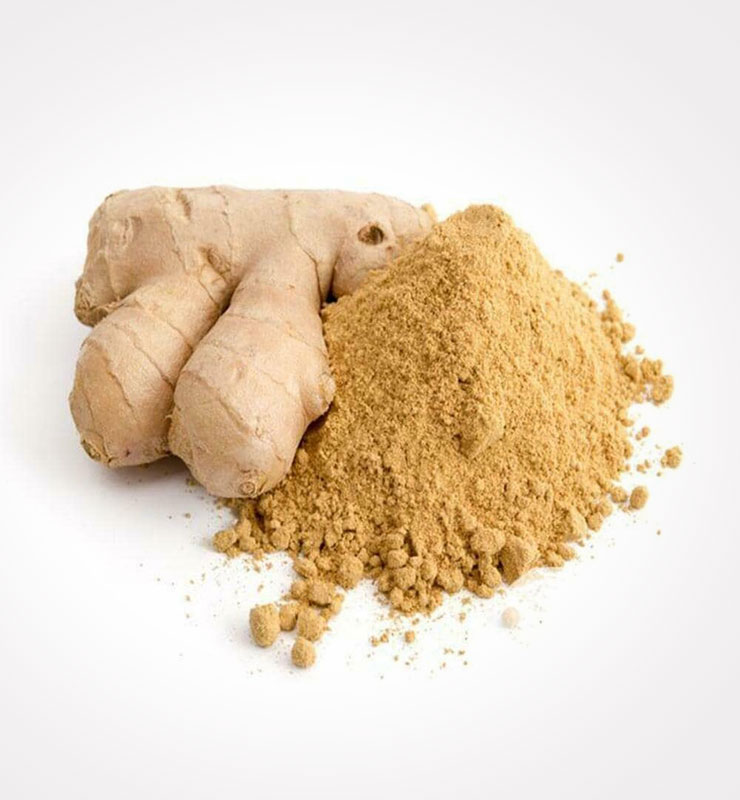 dry-ginger-powder