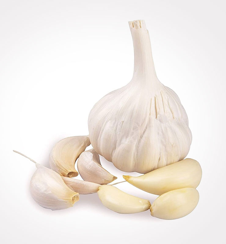 garlic